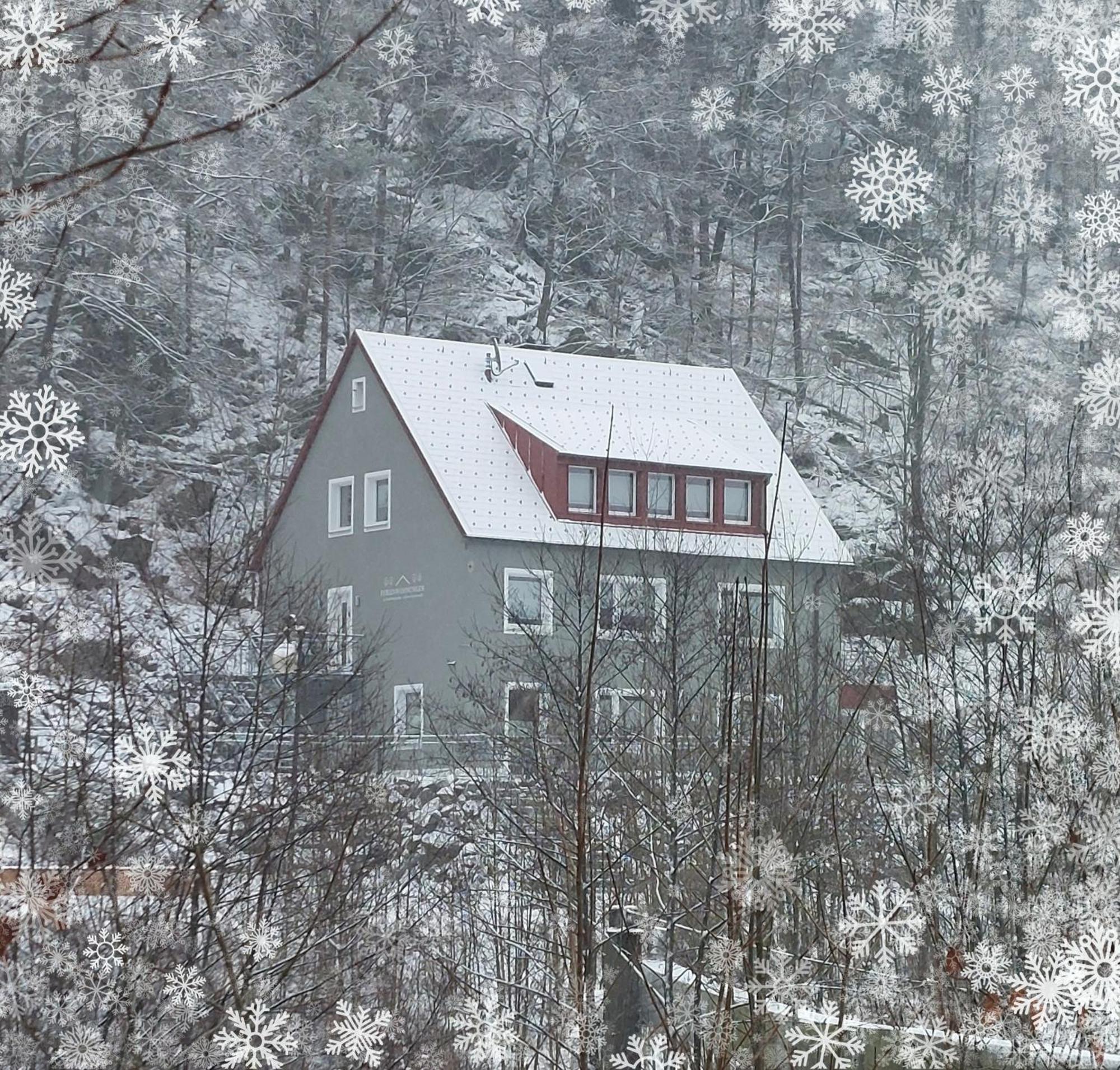 Апартаменты Am Quellenhaeuschen Naila Экстерьер фото